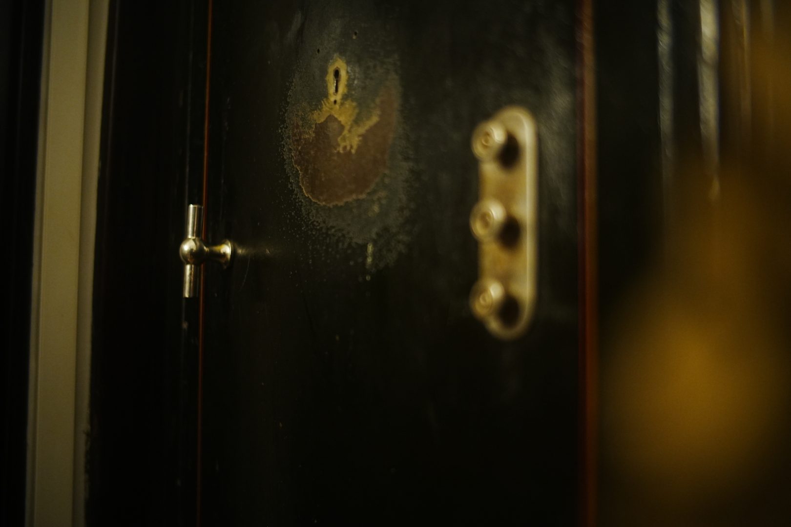 Casa Gheorghe Tătărescu din București: un spațiu de memorie și putere în dialog cu prezentul EkoGroup Vila